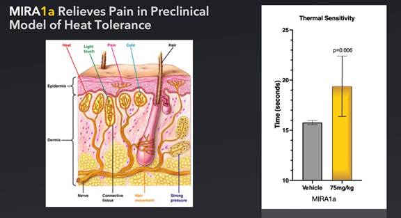 A diagram of skin anatomy

Description automatically generated