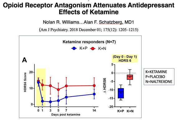 A graph of ketamine and ketamine

Description automatically generated